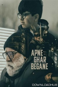 Apne Ghar Begane (2024) Punjabi Movie