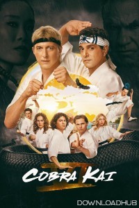 Cobra Kai (2024) Season 6 Part 1 Hindi Dubbed Series