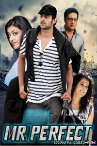 Mr Perfect (2011) ORG Hindi Dubbed Movie