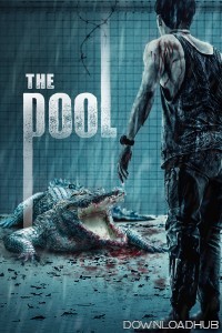 The Pool (2018) ORG Hindi Dubbed Movie